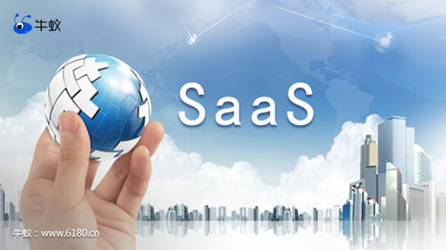 計算機信息技術開發(fā)中牛蟻的巧妙應用