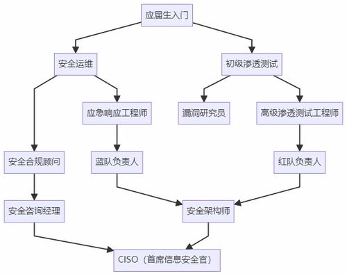 計算機生求職避坑指南 選網(wǎng)絡安全，比卷開發(fā)香太多