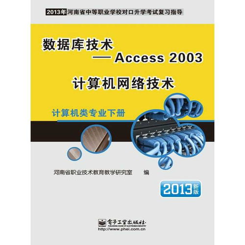 Access 2003與計算機網(wǎng)絡技術 計算機信息技術開發(fā)的核心書籍推薦